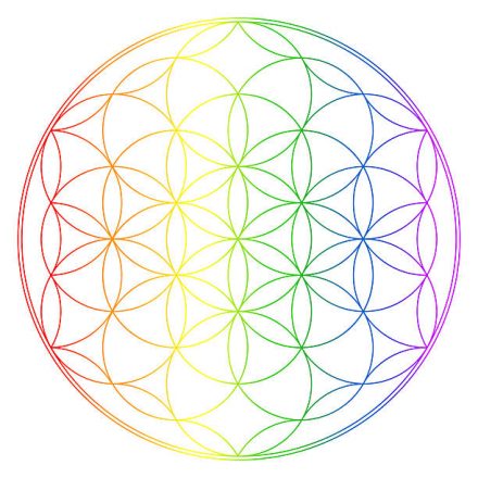 Comment fonctionne la Fleur de Vie et quels sont ses bienfaits ?