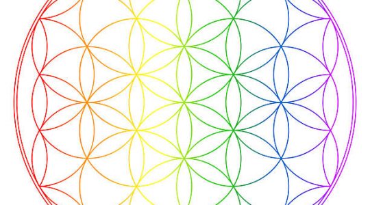 Comment fonctionne la Fleur de Vie et quels sont ses bienfaits ?