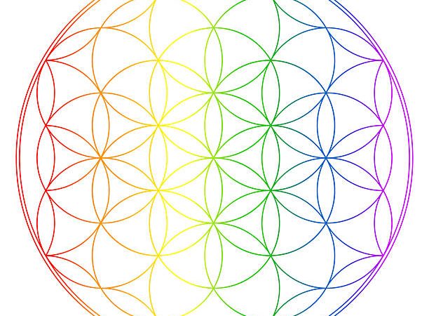 Comment fonctionne la Fleur de Vie et quels sont ses bienfaits ? Comment fonctionne la Fleur de Vie et quels sont ses bienfaits ?