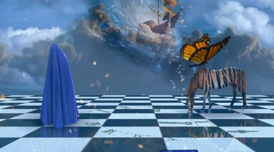 Le Top 3 des objets pour les fans de papillons