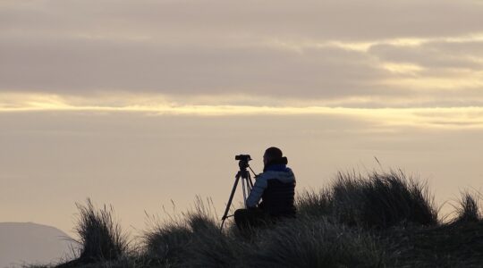 Pourquoi porter un nœud papillon en bois ?